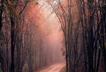 Typecho Markdown内图片正则引发的思考