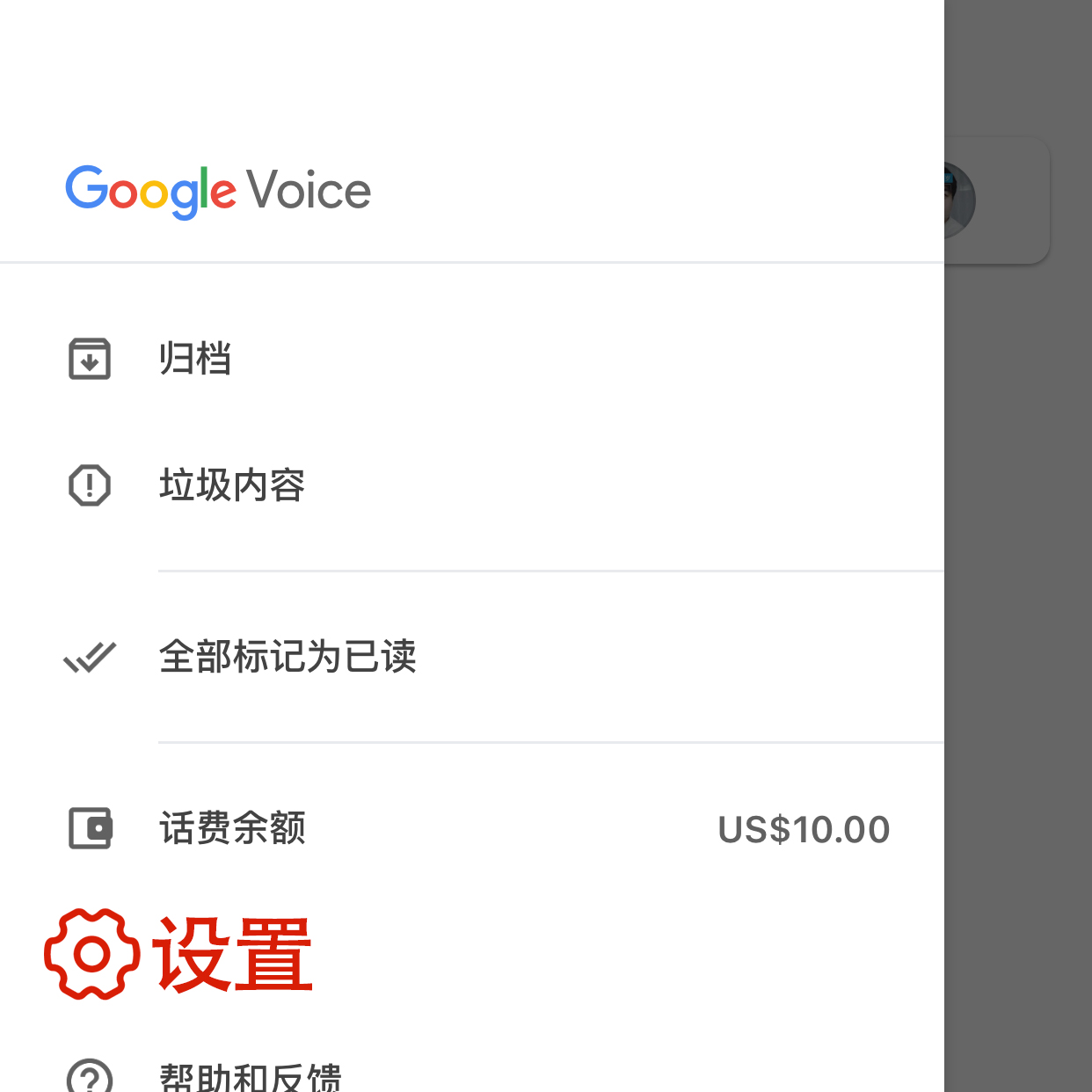 Google Voice 进入设置页面