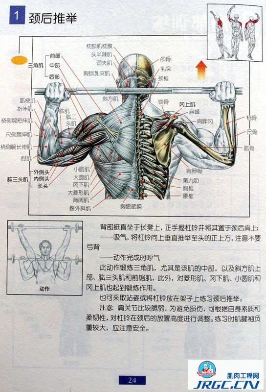 健身图解