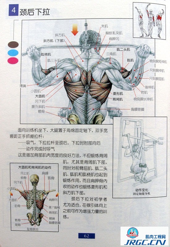 健身图解