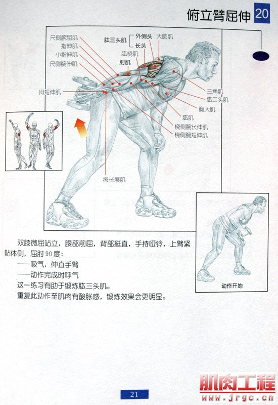 健身图解