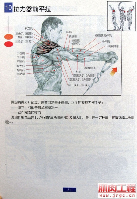 健身图解