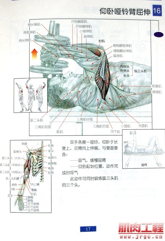 健身图解