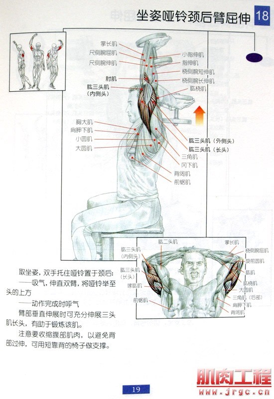 健身图解