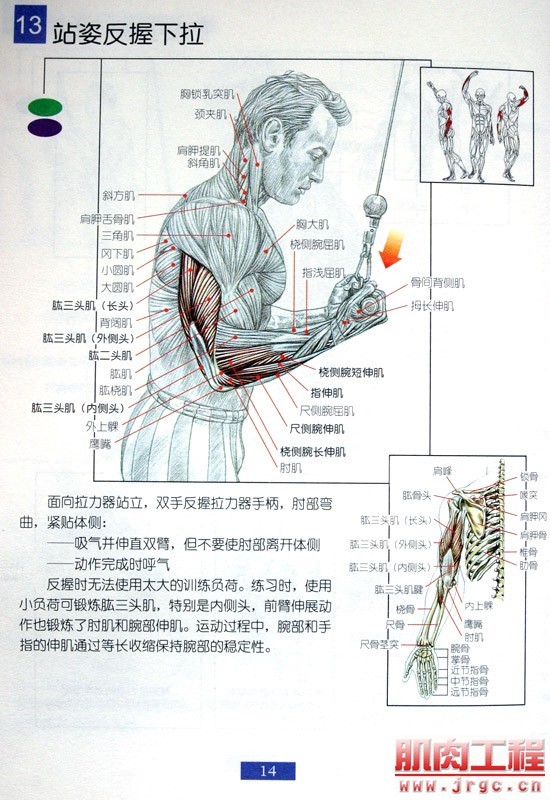 健身图解