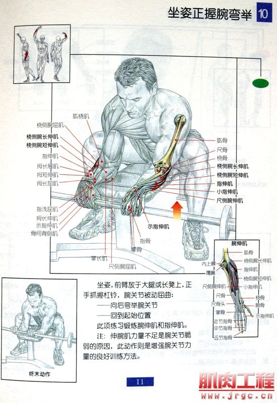 健身图解