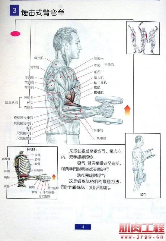 健身图解