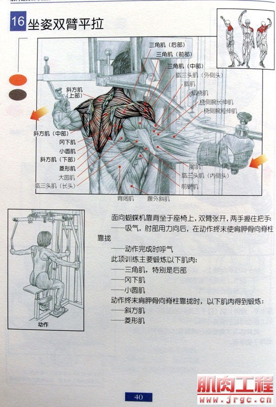 健身图解