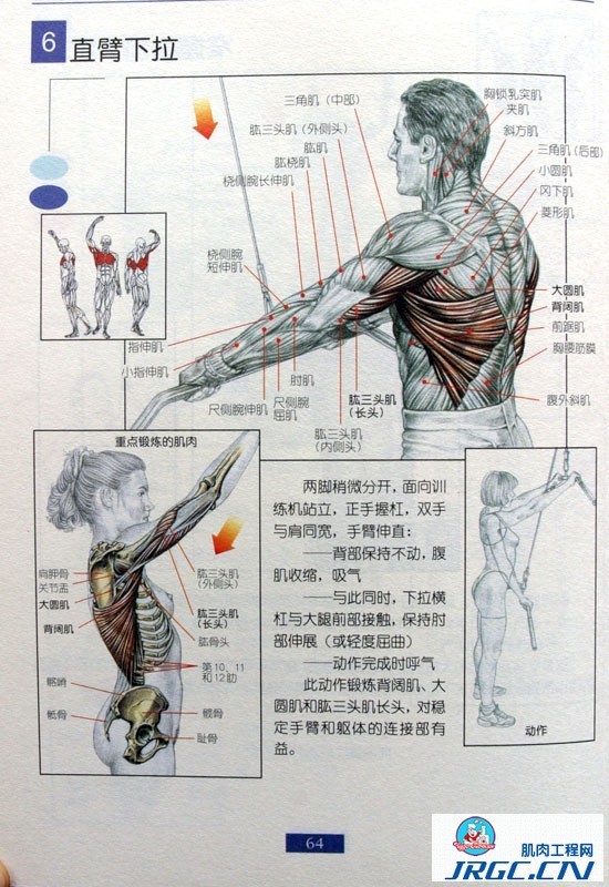 健身图解