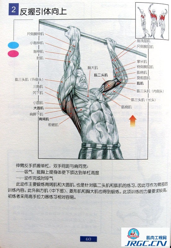 健身图解