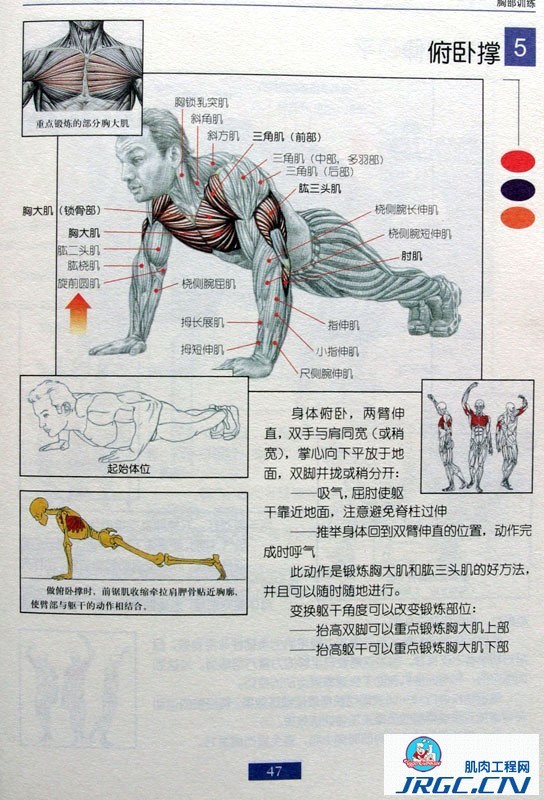 健身图解