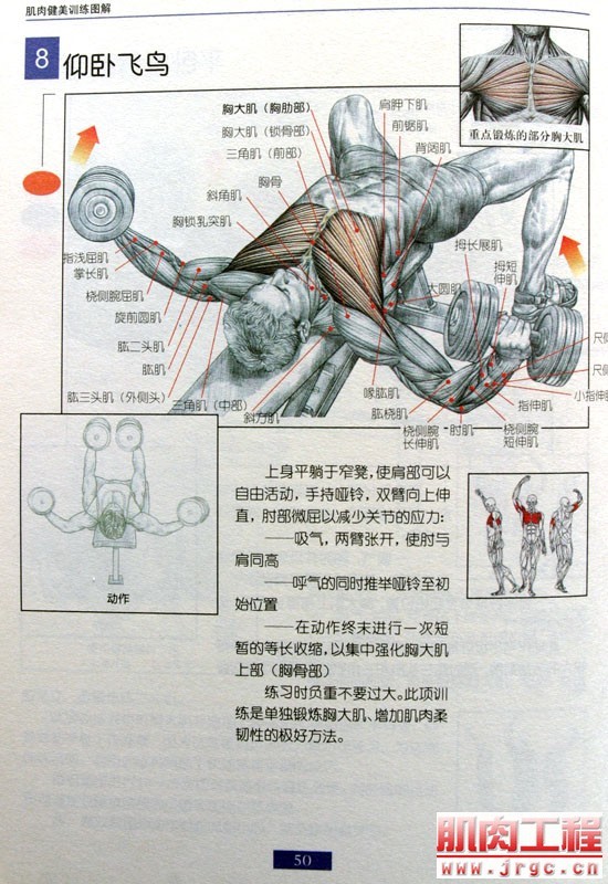 健身图解