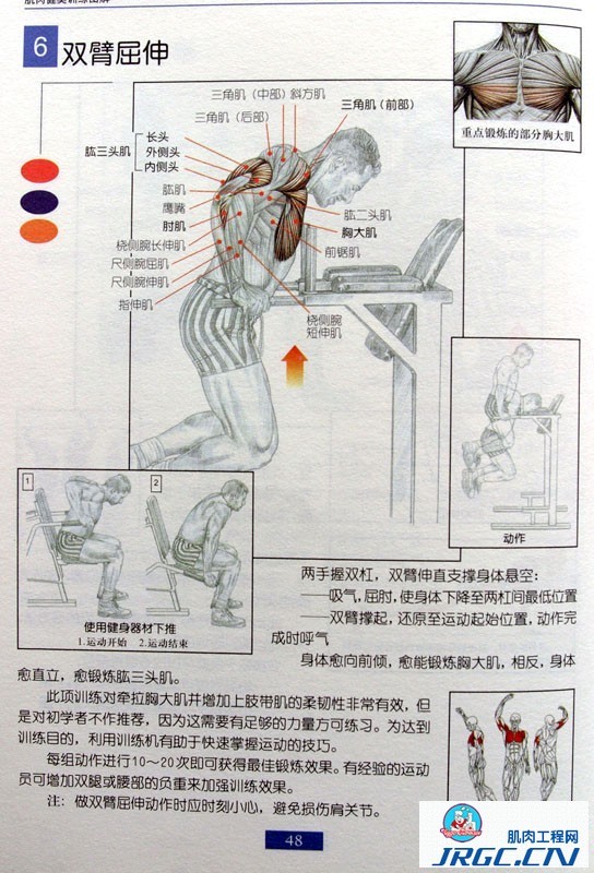 健身图解